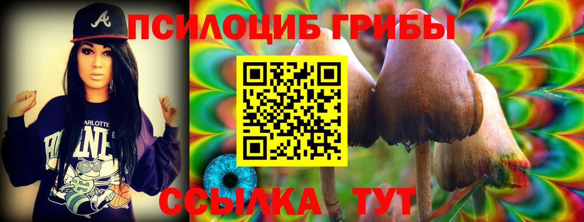Дубна  Псилоцибиновые грибы ЛСД  Вход с VPN 